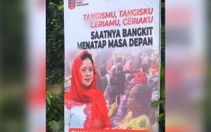 Baliho Puan Maharani Bertebaran di Lokasi Erupsi Gunung Semeru, PDIP Lumajang Buka Suara