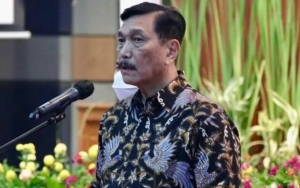 Sudah 46 Pasien, Menko Luhut Nilai Belum Ada Indikasi Peningkatan Kasus COVID-19 Imbas Omicron