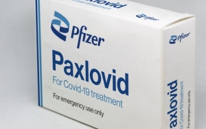 Menkes Ungkap Obat COVID-19 Paxlovid dari Pfizer Siap Masuk RI Januari 2022