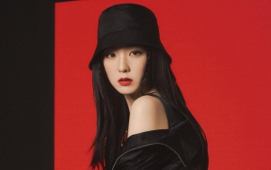 Irene Red Velvet Idol Wanita Tercantik di Antara Generasi ke-3?