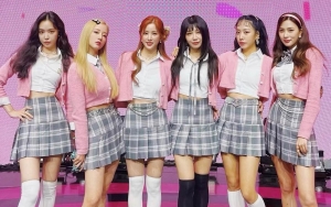 Dijamin Seru, A Pink Segera Rilis Reality Show Solo 'Apinkation' di SBS MTV