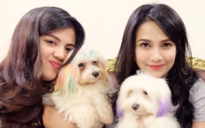 Disemprot Fuji, Sepupu Vanessa Angel Lagi-Lagi Bohong Soal Curhatan Doddy Nyaris Gila?
