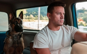 Channing Tatum Ungkap 'Dog' Terinspirasi dari Perjalanan dengan Anjingnya yang Berjuang Lawan Kanker
