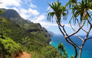 Hawaii Siap Cabut Aturan Karantina, Pelancong Tak Perlu Bawa Bukti Vaksin Atau Tes Negatif COVID-19