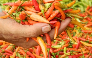 Harga Cabai Tembus Rp 100 Ribu Lebih per Kg, Kemendag Bilang Begini  