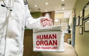 Dijanjikan Pekerjaan, Wanita di Thailand Klaim Organ Tubuhnya Hendak Diambil dan Dijual
