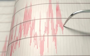 Gempa Berkekuatan M 7,3 Guncang Jepang, Peringatan Tsunami Dikeluarkan-Aliran Listrik Dipadamkan