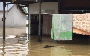 5 Desa di Kalimantan Timur Terendam Banjir, Ngeri Banget Ada Ancaman Buaya