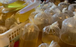 Harganya Melambung, Potensi Minyak Goreng Curah Dikemas Premium Diwaspadai Pemerintah