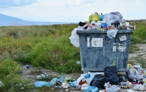 Miris! Kawasan Hutan Dibabat untuk Dijadikan Tempat Pembuangan Sampah Ilegal