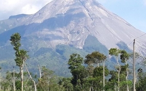 7 Kali Semburkan Guguran Lava Pijar Sejauh 2 Km, Gunung Merapi Bertahan di Status Siaga
