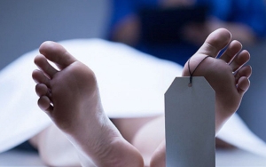 12 Wanita di Madina Sumut Tewas Tertimbun Longsor Tambang Emas, Begini Kronologinya