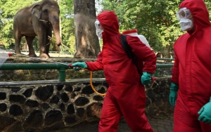 Pengunjung Ragunan Diprediksi Capai 45 Ribu, Banyak yang Kecewa Tak Bisa Masuk Gara-gara Ini