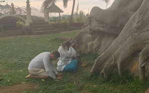 Bikin Geram Usai Pamer Foto Bugil di Pohon Sakral Bali, WNA Ini Akhirnya Menyerahkan Diri