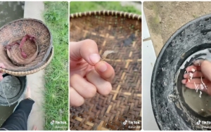 Tekad Kuat Capai Target dan Harapan