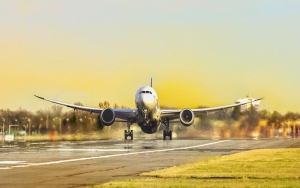 Penumpang Tak Berpengalaman Daratkan Pesawat Usai Pilot Diduga Alami Gangguan Medis