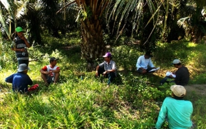 Komnas HAM Ikut Soroti Dugaan Aksi Represi Aparat Dalam Penangkapan 40 Petani Sawit Mukomuko