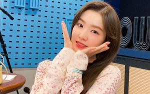 Irene Singgah di Bali Pasca Tampil di Allo Bank Festival 2022, Member Red Velvet Lain Balik Duluan