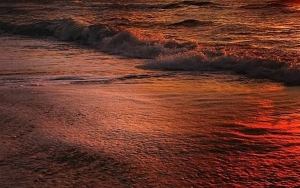 14 Mayat Ditemukan Terdampar di Pantai Myanmar, Pengungsi Rohingya?