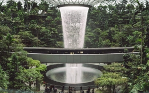 Sempat Transit di Bandara Changi Singapura, Pria Ini Dinyatakan Positif Cacar Monyet