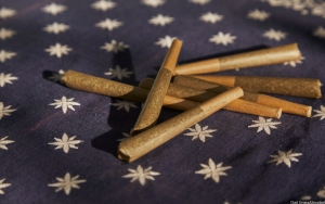 Mulai 9 Juni 2022 Thailand Longgarkan Aturan dan Izinkan Tanam Ganja Di Rumah, Boleh Untuk Merokok?