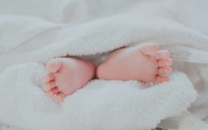 7 Janin Bayi Ditemukan dalam Kotak Makan di Makassar, Sang Ibu Sudah Lakukan Aborsi Sejak 2012