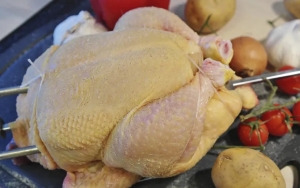 Kementan Sebut Indonesia Tak Punya Cadangan Protein Dari Ayam dan Telur, Picu Harga Jadi Mahal?