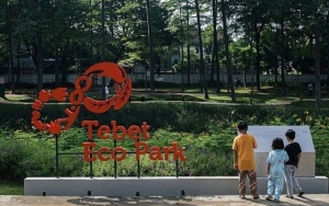 Pemprov DKI Putuskan Tebet Eco Park Ditutup Sementara Imbas Munculnya PKL Hingga Parkir Liar