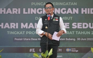 Ratusan Hektare Tanah Pesisir Jabar Kini Jadi Lautan, Ridwan Kamil Ajak Tanam Mangrove