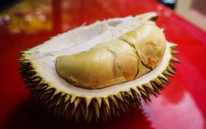 Ekspor Durian Malaysia Terancam Mandek Imbas Krisis Nitrogen Cair