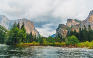 Taman Nasional Yosemite California Kebakaran, Kru Mati-Matian Lindungi Pepohonan Sequoia Raksasa