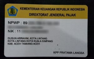 19 Juta NIK Sudah Bisa Dipakai Sebagai NPWP, Pelayanan Pajak Makin Mudah