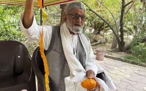 Dijuluki 'Mango Man', Kakek Putus Sekolah di India Disebut Hasilkan 300 Varietas Mangga