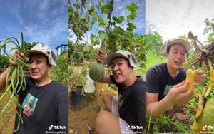 Kelola Kebun Mandiri Berbekal Ilmu dari YouTube