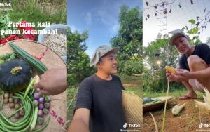 Tips Berkebun Buat Para Pemula ala Denis 