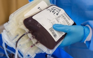 Ditemukan Ratusan Kantong Darah Hasil Donor Terkontaminasi Penyakit Menular, PMI Bilang Begini