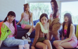 Usai ITunes, Girlband Rookie NewJeans Kini Sukses Bikin Rekor di Spotify
