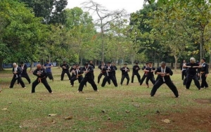 Konvoi Perguruan Silat Bentrok Dengan Warga di Malang, Pengurus Hingga Polisi Turun Tangan