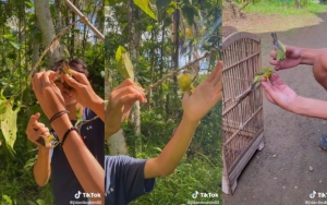 Tekad Kuat Buat Jadi Konten Kreator