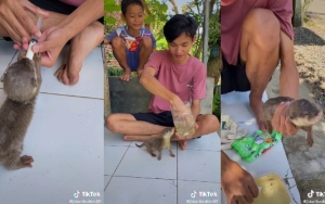 Tips Merawat Binatang Peliharaan Buat Para Pemula