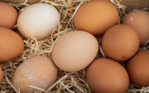 Harga Telur Ayam Melonjak, Mendag Sebut Karena Program Kemensos