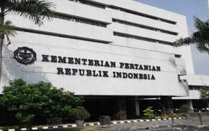 Kementan Kenalkan Calon Pengganti Beras, Disebut Baik untuk Diet dan Cegah Diabetes