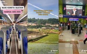 Pernah Hampir 'Nyasar' Di Hutan Belantara