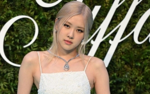 Netter Terpukau Lihat Aura Mahal Anjing Rose Usai Pakai Produk Mewah Tiffany & Co