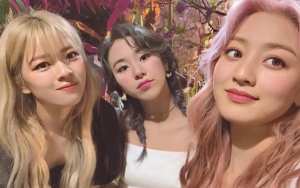 Balasan Jihyo TWICE di Komentar Jeongyeon dan Chaeyong Tunjukkan Cara Berbeda Pelakukan Member