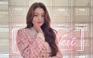 Jang Won Young IVE Terus Diserang YouTuber Sojang, Agensi Dituntut Bertindak