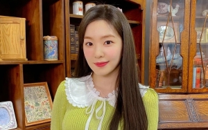 Wajah Irene Red Velvet Diduga 'Ditiru' Duta Virtual Pariwisata, SM Diminta Turun Tangan