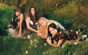 BLACKPINK Diduga Akan Kembali Tampil di Coachella Tahun Depan