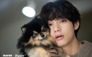 Temani V BTS Nge-Live, Suara Napas Yeontan Bikin Khawatir