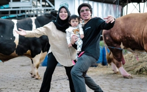 Diajak Atta Halilintar Berburu Sapi Jumbo Untuk Kurban, Ameena Sampai Melotot